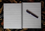 Open page, pen for scale