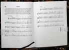 Sample music page<br>showing 2 of the 4 arrangements<br>of the same song
