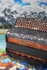 The Mengascini F6 — dark wood veneer finish